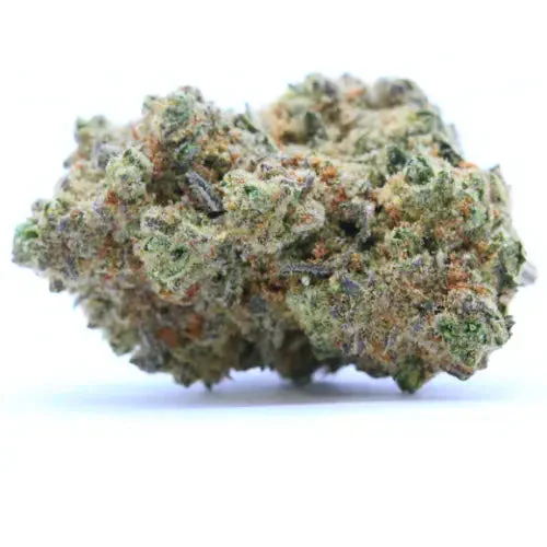 GORILLA GLUE