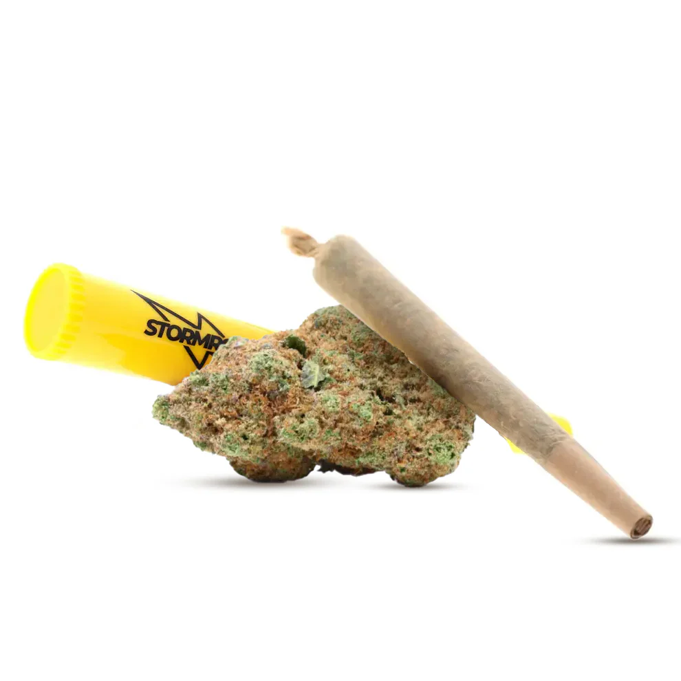Pré-roll Amnesia
